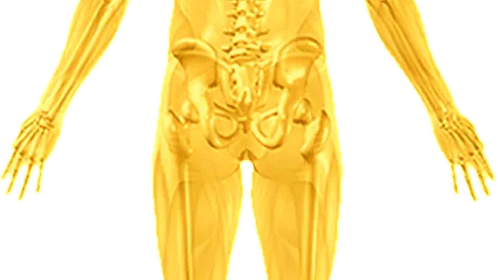 Danni su Persone — Progetto 2