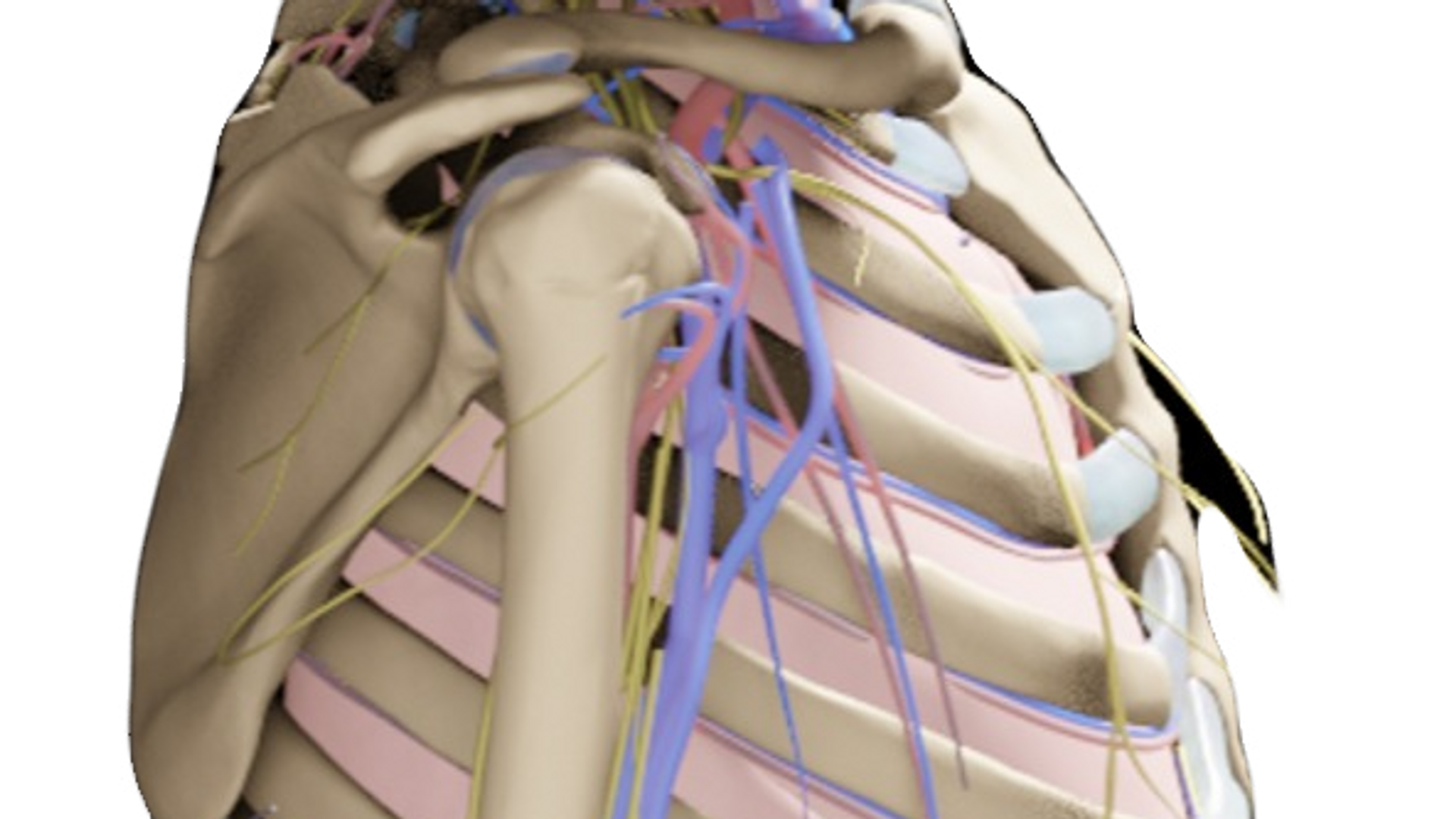 Danni su Persone — Progetto 3